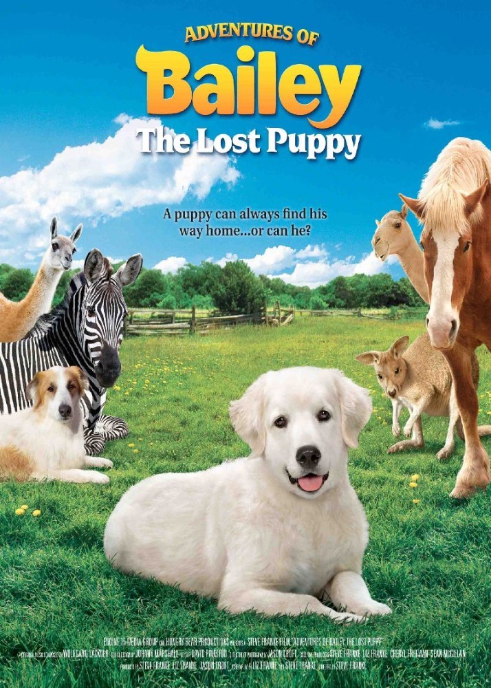 ბეილის თავგადასავალი: დაკარგული ლეკვი / Adventures of Bailey: The Lost Puppy ქართულად