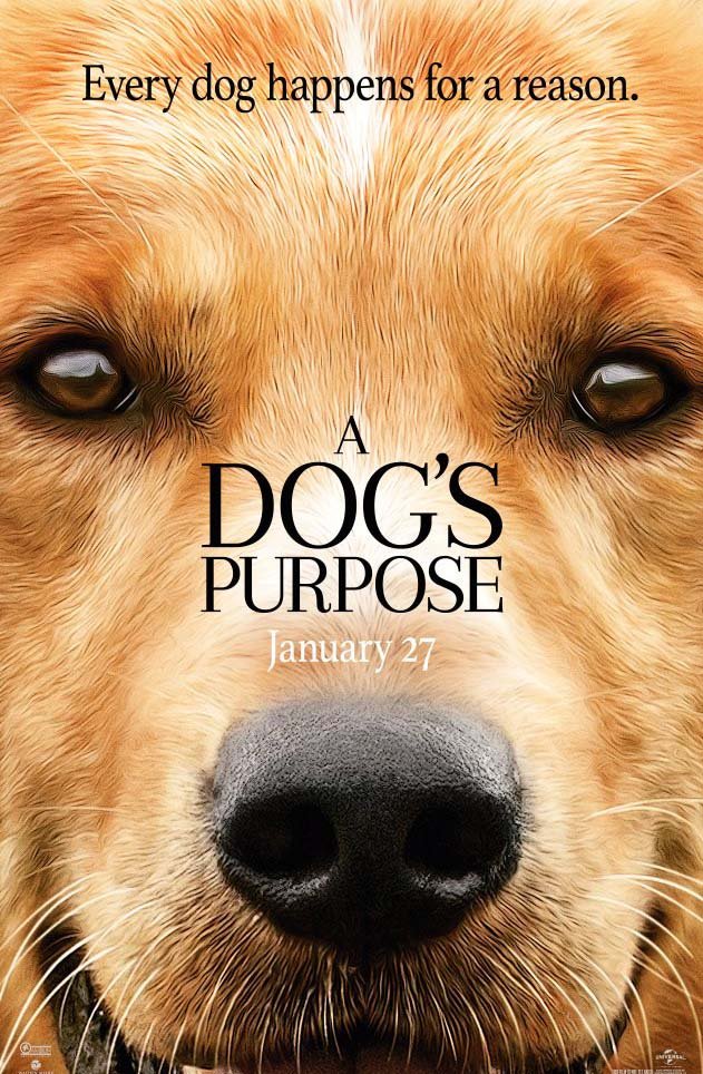 ძაღლური ცხოვრება / A Dog's Purpose (Dzagluri Cxovreba Qartulad) ქართულად
