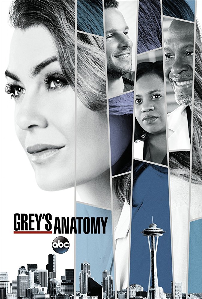 გრეის ანატომია სეზონი 14 / Grey`s Anatomy Season 14 ქართულად