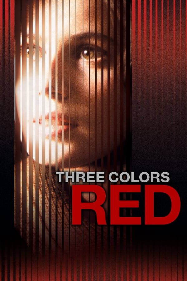 სამი ფერი: წითელი / Three Colors: Red (Trois couleurs: Rouge) ქართულად