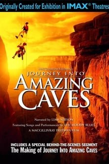 მოგზაურობა საოცარ გამოქვაბულებში / Journey Into Amazing Caves ქართულად