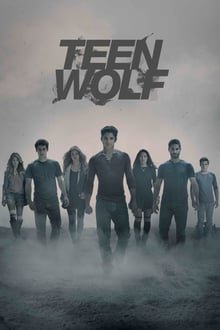 თინეიჯერი მგელი სეზონი 3 / Teen Wolf Season 3 (Tineijeri Mgeli Sezoni 3) ქართულად