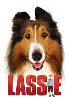 ლესი / Lassie ქართულად