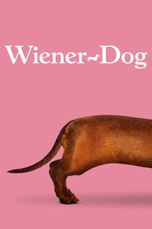 ტაქსა / Wiener-Dog ქართულად