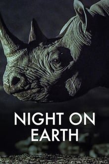 ღამე დედამიწაზე / Night on Earth (Game Dedamiwaze Qartulad) ქართულად