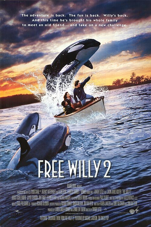 გაათავისუფლეთ ვილი 2 / Free Willy 2: The Adventure Home (Gaatavisuflet Vili 2 Qartulad) ქართულად