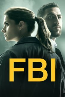 გამოძიების ფედერალური ბიურო სეზონი 2 / FBI Season 2 ქართულად