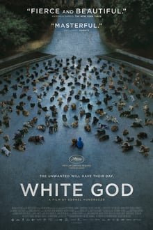 თეთრი ღმერთი / White God ქართულად